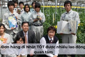 Đơn hàng đi Nhật TỐT được nhiều lao động quan tâm