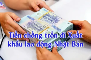 Tiền chống trốn đi Xuất khẩu lao động Nhật Bản là gì? Quy định mới nhất