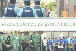 Dù không thích, nhưng Nhật Bản vẫn chọn lao động Việt Nam là vì?