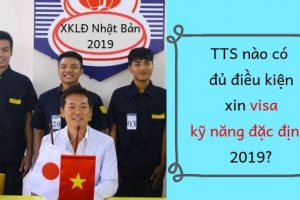 Đối tượng được cấp visa kỹ năng đặc định là ai?