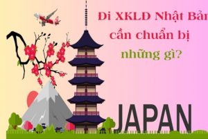 Xuất khẩu lao động Nhật Bản cần những gì trong năm 2024?