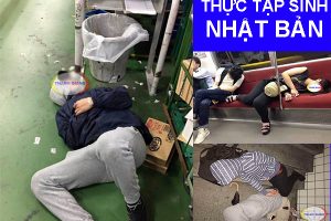 Thực tập sinh Nhật Bản – những mảng tối cần được phơi bày