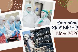 Những vấn đề cần lưu ý về đơn hàng xuất khẩu Nhật Bản 2020