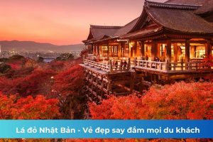 Lá đỏ Nhật Bản – Vẻ đẹp say đắm mọi du khách