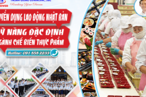 KN6399 – CHẾ BIẾN THỰC PHẨM – ISHIKAWA – TUYỂN TẠI NHẬT