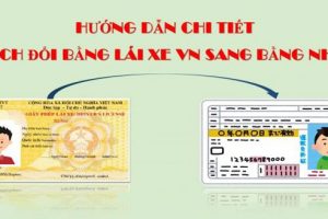 Cách đổi bằng lái xe Việt Nam sang bằng lái xe Nhật