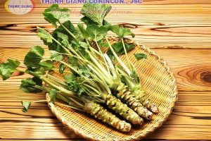 Wasabi là gì? Wasabi có phải mù tạt hay không?