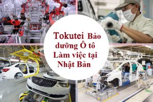 Tokutei Sửa chữa Bảo dưỡng ô tô và những điều lao động cần biết