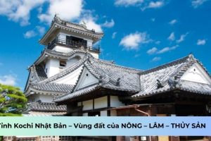 Tỉnh Kochi Nhật Bản – Vùng đất của NÔNG – LÂM – THỦY SẢN