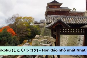 Shikoku (しこく/ シコク) – Hòn đảo nhỏ nhất Nhật Bản