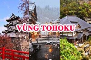 Tổng Quan Vùng Tohoku (東北地方) – “Vựa lúa của Nhật Bản”
