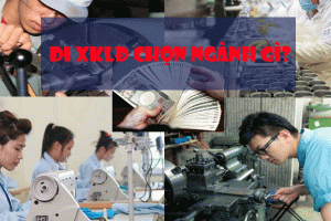 Đi XKLĐ Nhật Bản nên chọn ngành gì? TOP ngành nghề XKLĐ lương cao
