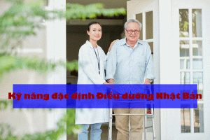 TỔNG QUAN Kỹ năng đặc định Điều dưỡng – Tokutei Điều dưỡng