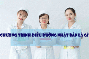 THỰC CHẤT chương trình Điều dưỡng Nhật Bản là gì?