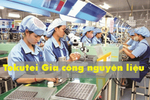 Tokutei ngành Gia công nguyên liệu – LƯƠNG HẤP DẪN, CHẾ ĐỘ TỐT