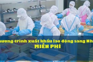 Xuất khẩu lao động sang Nhật miễn phí có hay không?