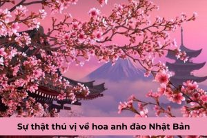 Hoa anh đào Nhật Bản – Sự thật thú vị có thể bạn chưa biết