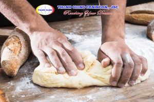 GERMG519 DHN Đức nghề Thợ làm bánh tại Hatten