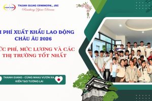 Chi phí Xuất khẩu lao động Châu Âu: Mức phí, mức lương và các thị trường tốt nhất