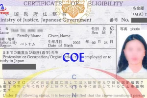 COE là gì? Bí kíp xin COE Nhật nhanh, đúng hồ sơ, tăng tỷ lệ đậu